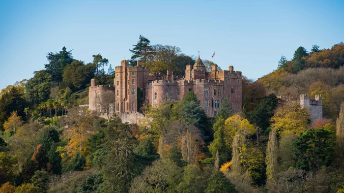Castle on top of a hill surrounded by trees