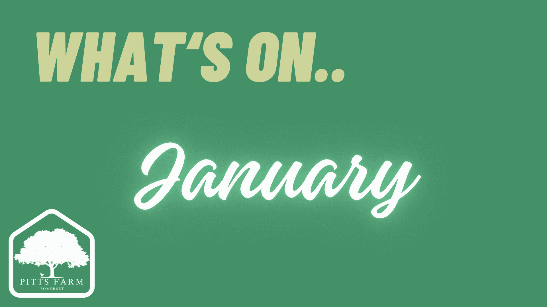What's on in Somerset in January - wassailing