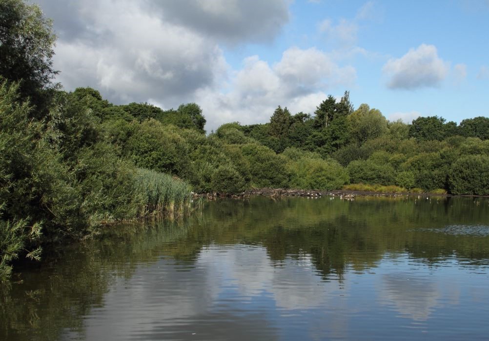 Chard Reservoir with it's still water reflecting the surrounding trees
