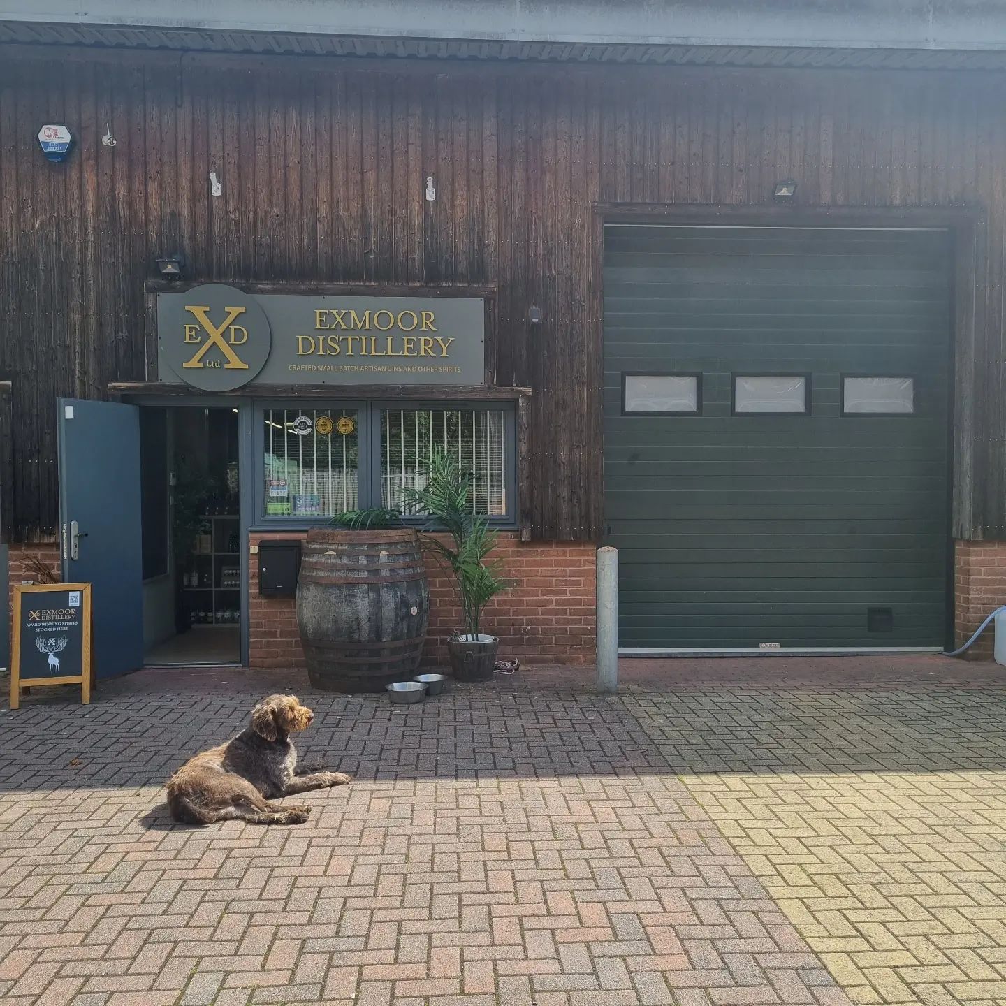 A dog lazes in the sun in front of the entrance to Exmoor Distillery.