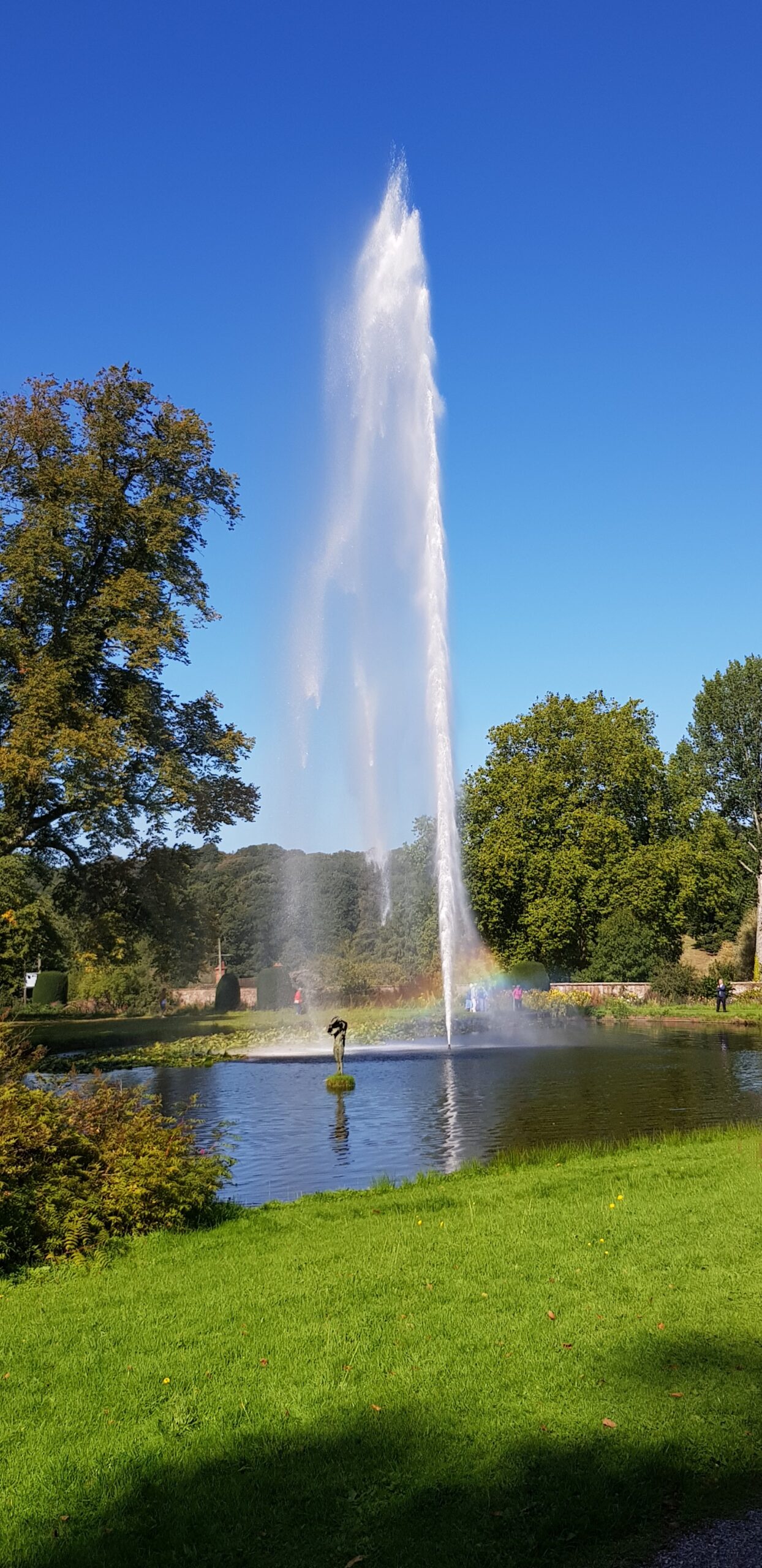 A lake with a fountain towering high into the blue sky above the surrounding trees at Forde Abbey & Gardens