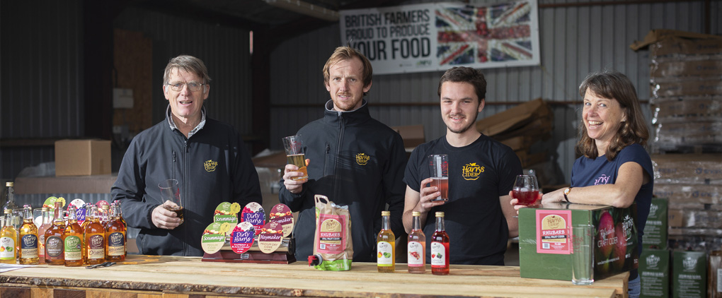3 men and a lady stand behind a wooden bar, all holding glasses full of cider. On the bar is a display of Harry's Cider produce.