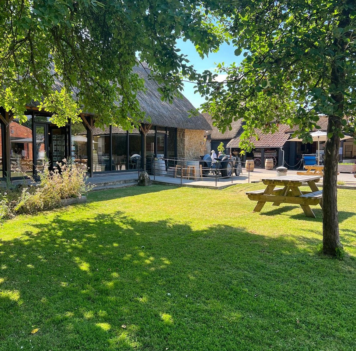 Perry's Cider Perry's cider farm shop and cafe, situated in a Thatched barn with glazed side and benches outside in the shade of trees.