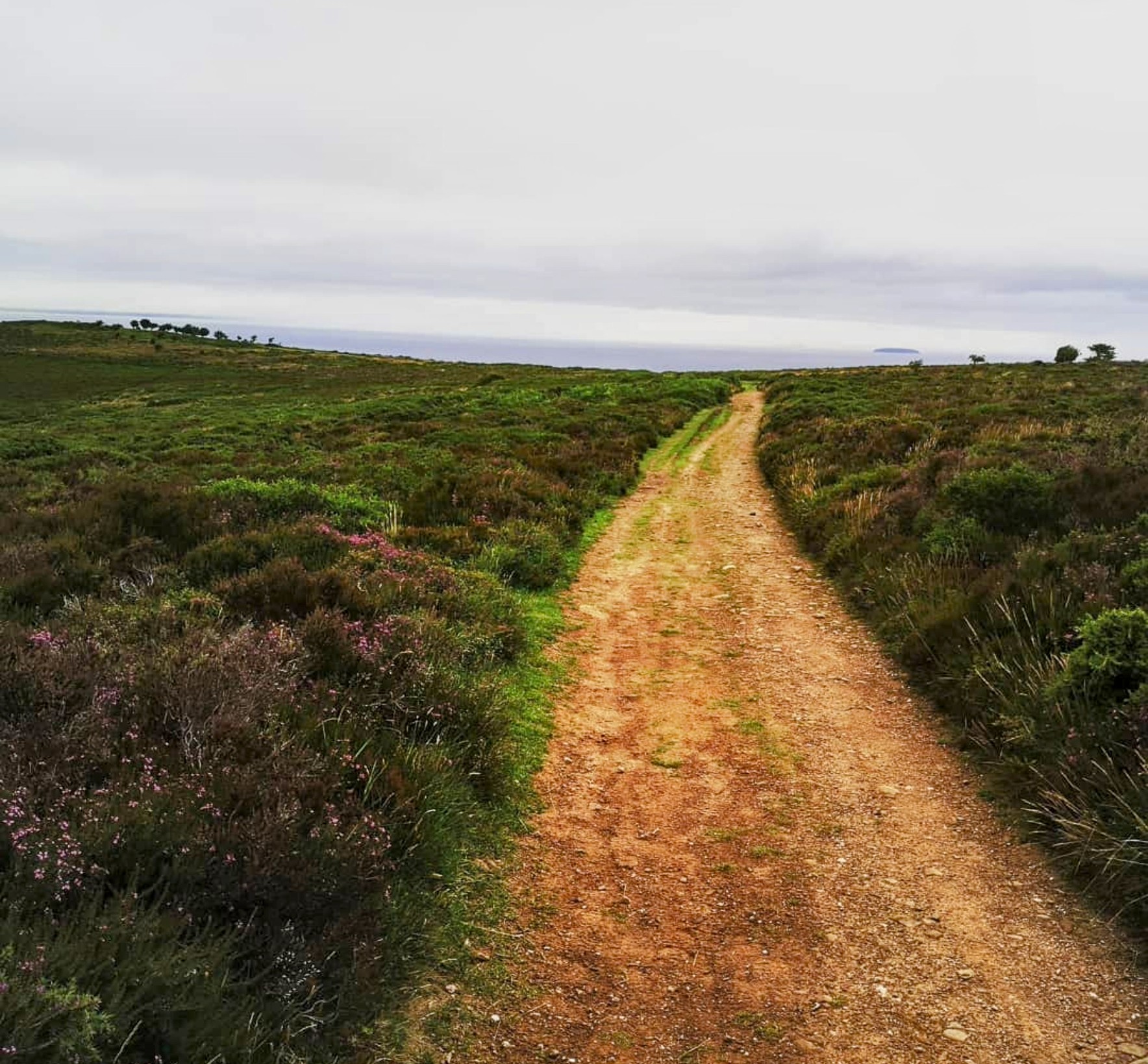 A path on the Quantock Hills leads into the distance with green fields either side