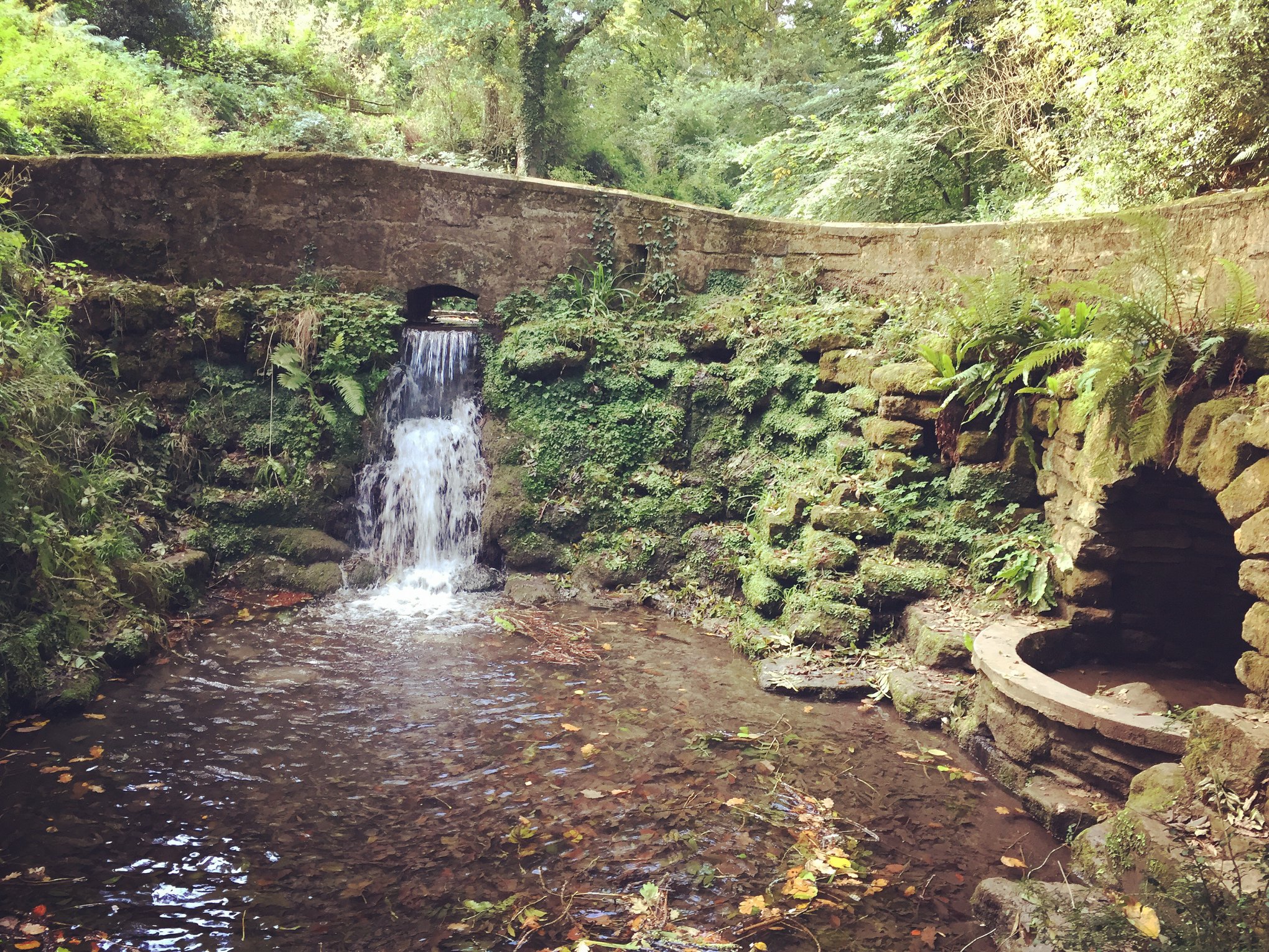 A bridge over a small waterfall and stream, at Yeovil Country Park with green trees in the background.